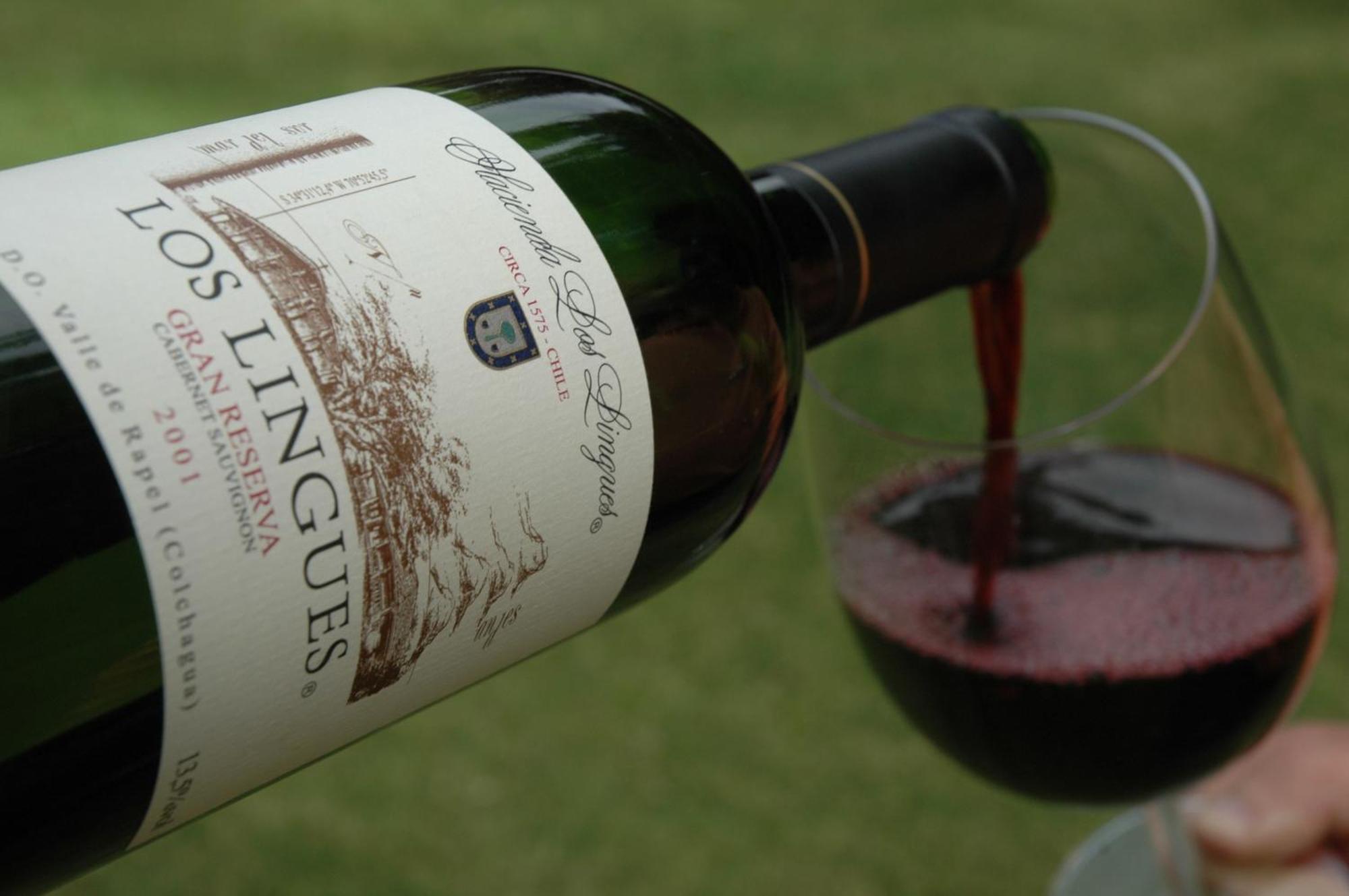Hacienda Los Lingues Chile Valle De Colchagua Екстериор снимка